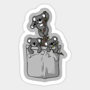 Pocket Koala Bears Sticker